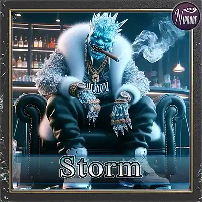 Picture for song 'storm' by artist 'N1PROOF BEATS'