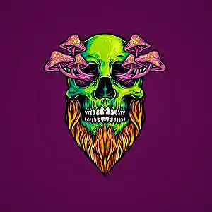 Picture for song 'Freestyle Type Beat - Punk' by artist 'Amanpiano'