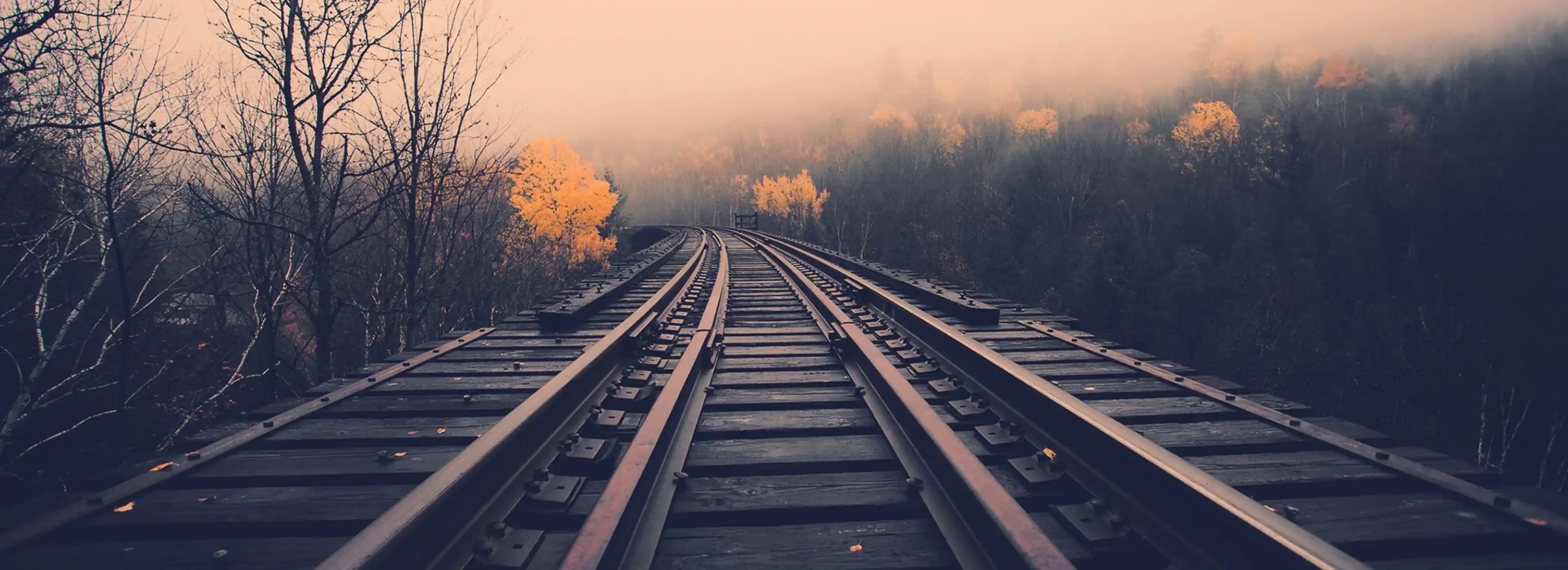 cover pic