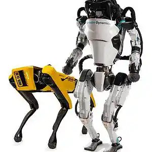 Picture for song 'Robosynth' by artist 'BASSOTRONICS'