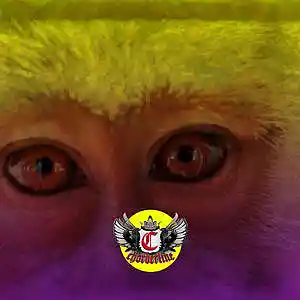 Picture for song 'ZOO (Migos Kodak Black Type Beat)' by artist 'Chorderline'