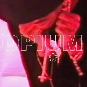 Picture for song 'Homixide Gang x Playboi Carti - "FasT"' by artist 'CyberC'