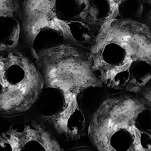 Picture for song '"Scary" (Dark Trap Beat) DARK MIND' by artist 'HXSHXR'