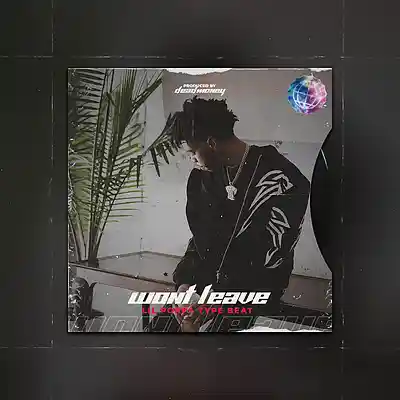 Picture for song '"Wont Leave" Lil Poppa Type Beat' by artist 'MoneysOnDead'