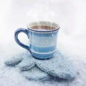 Picture for song 'Colder Comfort' by artist 'Nightingale Lofi'