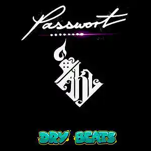 Picture for song 'Zu Viel Verloren' by artist 'PASSWORT 13-8'