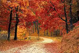 Picture for song 'FALL' by artist 'Prod.Mighty'