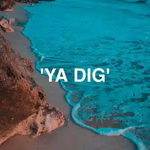 Picture for song 'YA DIG' by artist 'bigdaddyteacha'
