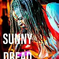 Picture for song 'Cant Stop' by artist 'Sunny Dread'