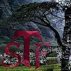 Picture for song 'Surviving The Fall' by artist 'Surviving The Fall'