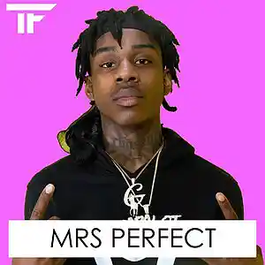 Picture for song 'Mrs Perfect' by artist 'TrackFiendz'