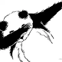 Picture for song 'i mean it forreal 16 fixed' by artist '16 Roosevelt'