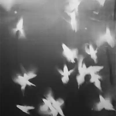 Picture for song 'Texture' by artist '8rilliant'