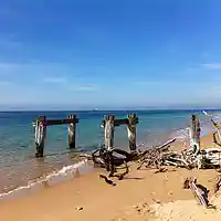 Picture for song 'Sunny Day At Swan Bay' by artist 'andromeda man'