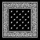 Picture for song 'Black bandana' by artist 'Black Rhino Beatz'