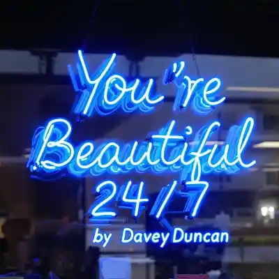 Picture for song 'You're Beautiful 24/7' by artist 'Davey Duncan'