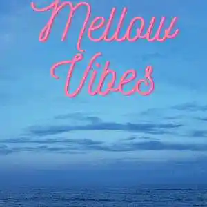 Picture for song 'Mellowvibes (BUY 2 GET 1 FREE)' by artist 'D-Money On The Beat'