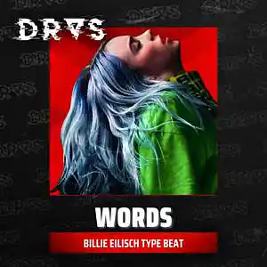 Picture for song 'Words w/hook' by artist 'Dras On The Beat'