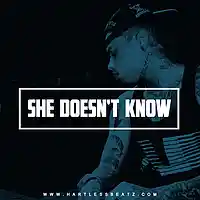 Picture for song 'She Doesnt Know (Kid Ink x DJ Mustard Type Beat)' by artist 'HartlessBeatz'