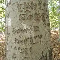 Picture for song 'Waiting For My Angel' by artist 'Leonard Scaper'