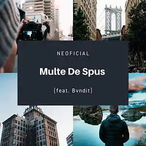 Picture for song 'Multe De Spus (feat. Bvndit)' by artist 'Neoficial'