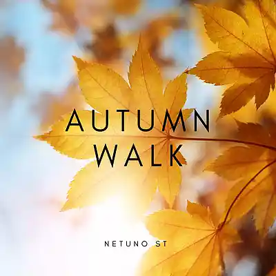 Picture for song 'Autumn Walk' by artist 'Netuno Soundtracks'