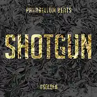 Picture for song 'Shotgun' by artist 'Parabellum Beats'