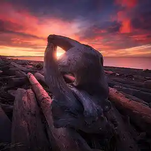 Picture for song 'Distant' by artist 'PerfectionistMusic'