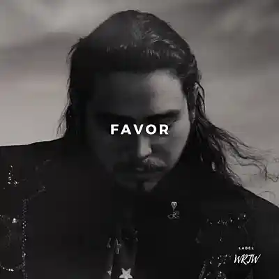 Picture for song 'Favor (Buy 1 Get 10 Free)' by artist 'Kontraa'