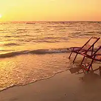 Picture for song 'By the Beach' by artist 'sharky productions'