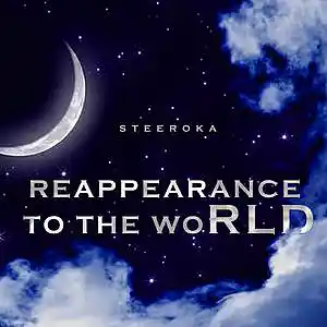 Picture for song 'Disrespectfully' by artist 'STEEROKA'