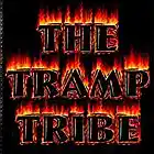 Picture for song 'Ground and Pound' by artist 'The Tramp Tribe'