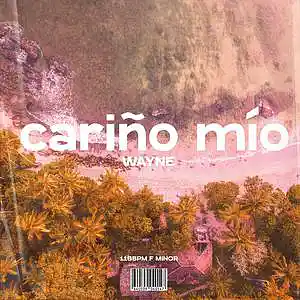 Picture for song 'CARINO MIO' by artist 'wayne.prods'