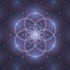 Picture for song 'hagar hamilton.mp3' by artist 'ahnshsom'