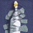 Picture for song 'Duck Tape' by artist 'Albanyville'