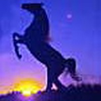 Picture for song 'WILD HORSE' by artist 'Alexis VAN EECKHOUT'