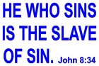 Picture for song 'Basic Knowledg3 - Born a Slave' by artist 'Bas1c'
