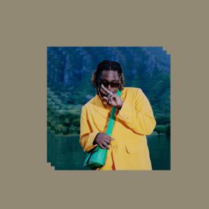 Picture for song 'Bonnie (152 bpm, Gm) Don Toliver Type Beat 2022' by artist 'beats by NTZ'