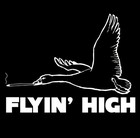 Picture for song 'Flyin' High' by artist 'Benjie Beatz (USA)'