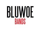 Picture for song 'Bands' by artist 'BLuWoe'