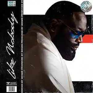 Picture for song 'Like Nobody (Beat With Hook)' by artist 'BOGER'