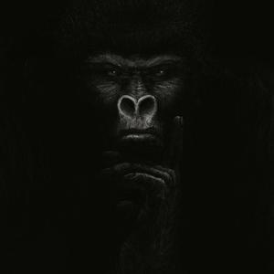Picture for song 'AMZBLVCK - Gorilla (Love At Risk) (voice memo)' by artist 'captainblvck'