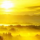 Picture for song 'Trust Him' by artist 'CHRISTIAM DISCIPLE'