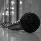 Picture for song 'Rip The Microphone (FREE DL!)' by artist 'CK Beatz'