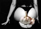 Picture for song 'A bottom of Garlic' by artist 'CoverMark'
