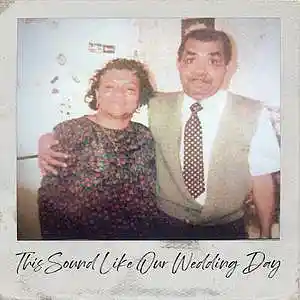 Picture for song 'This Sound Like Our Wedding Day' by artist 'deemaurice'