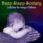 Picture for song 'Canopy Full of Stars' by artist 'Deep Sleep Society'