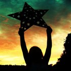 Picture for song 'Reach For A Star' by artist 'DHW'