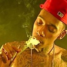 Picture for song 'DJ KIA - Dat Piff (Exclusive Rights Available)' by artist 'DJ KIA'