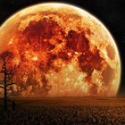 cover pic